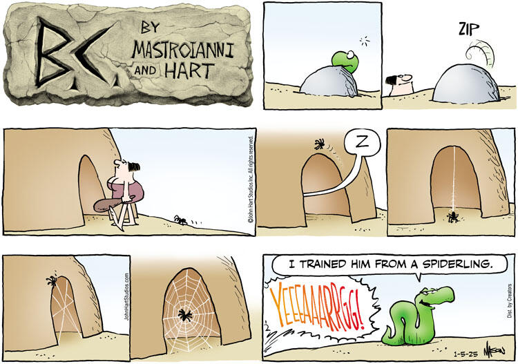 B.C. for Jan 05, 2025