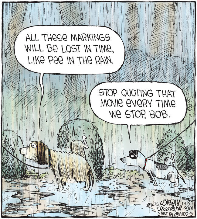 Speed Bump for Jan 18, 2025