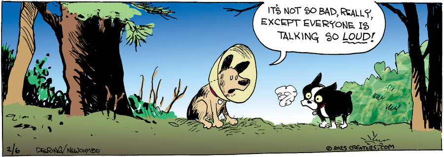 Zack Hill for Feb 06, 2025