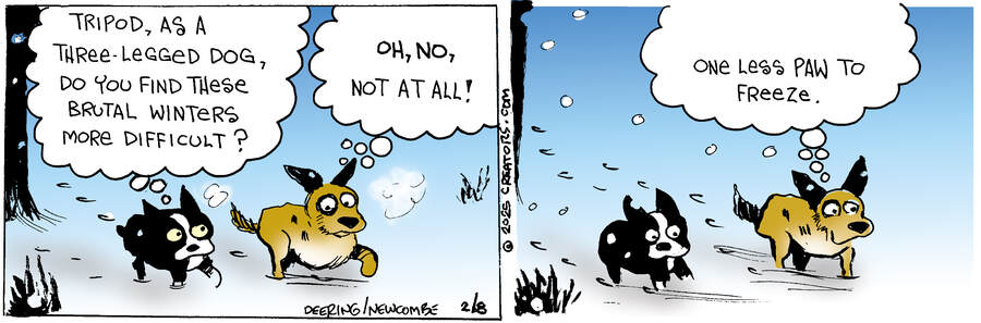 Zack Hill for Feb 08, 2025