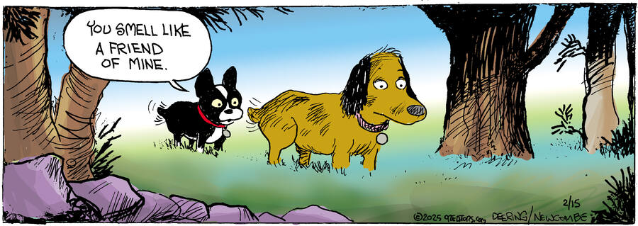 Zack Hill for Feb 15, 2025