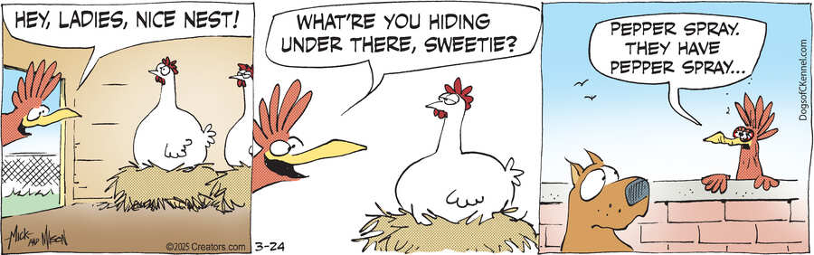 Dogs of C-Kennel for Mar 24, 2025