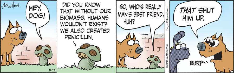Dogs of C-Kennel for May 13, 2024