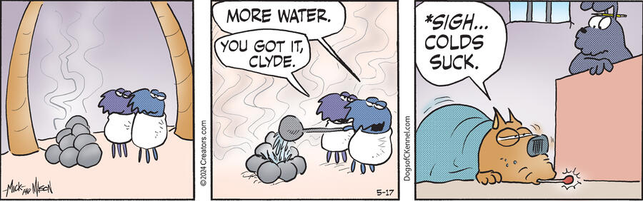 Dogs of C-Kennel for May 17, 2024