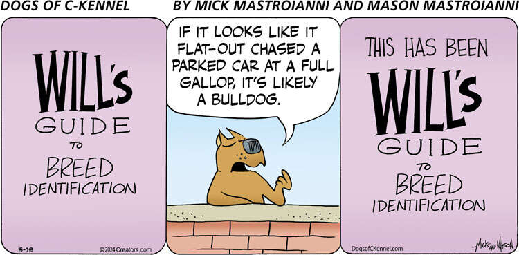 Dogs of C-Kennel for May 19, 2024