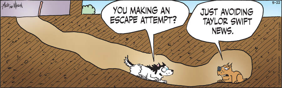 Dogs of C-Kennel for May 22, 2024