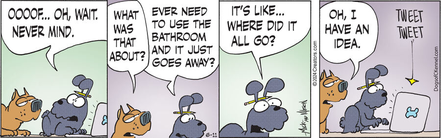 Dogs of C-Kennel for Jun 11, 2024