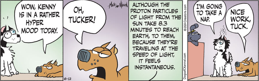 Dogs of C-Kennel for Jun 12, 2024