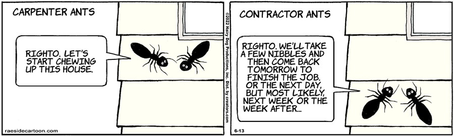 The Other Coast for Jun 13, 2022