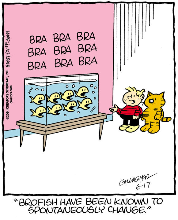 Heathcliff for Jun 17, 2024