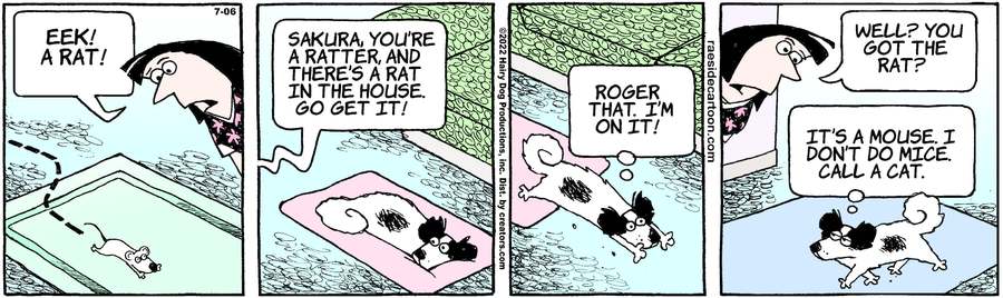 The Other Coast for Jul 06, 2022