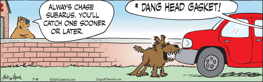 Dogs of C-Kennel for Jul 06, 2024