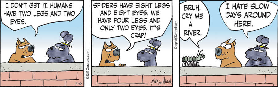 Dogs of C-Kennel for Jul 09, 2024