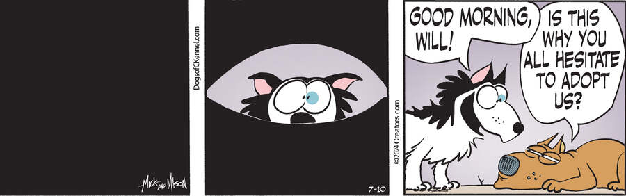 Dogs of C-Kennel for Jul 10, 2024