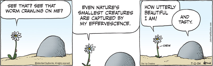 B.C. for Jul 11, 2024