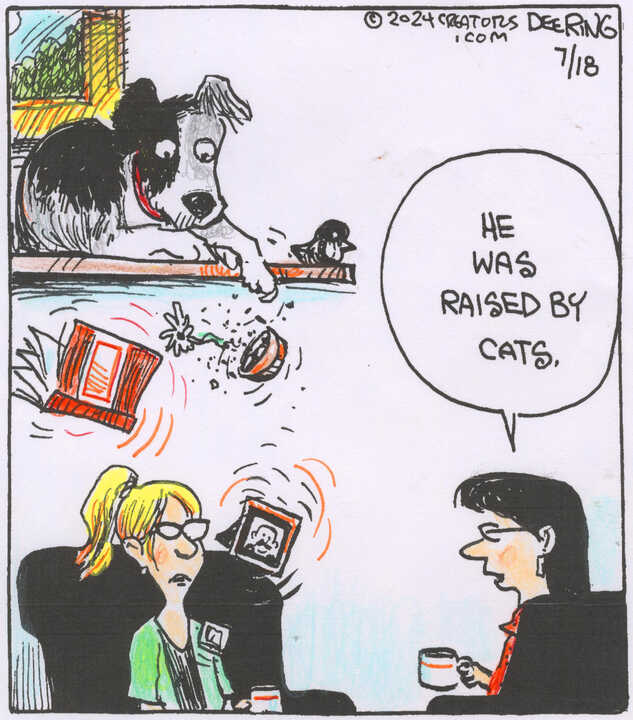 Strange Brew for Jul 18, 2024