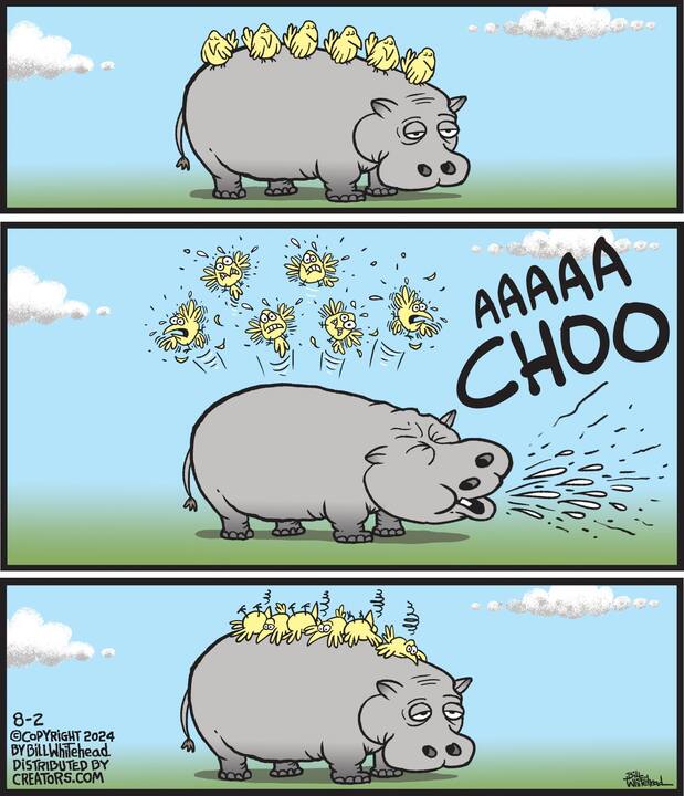 Free Range for Aug 02, 2024