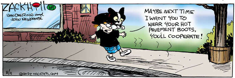 Zack Hill for Aug 11, 2024