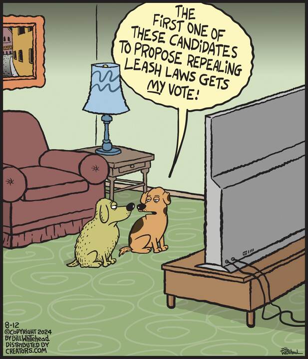 Free Range for Aug 12, 2024