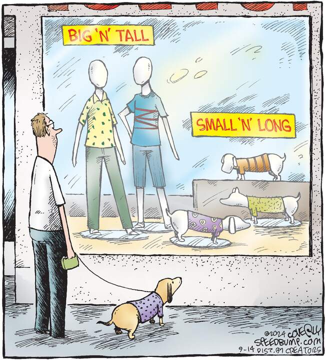 Speed Bump for Sep 14, 2024