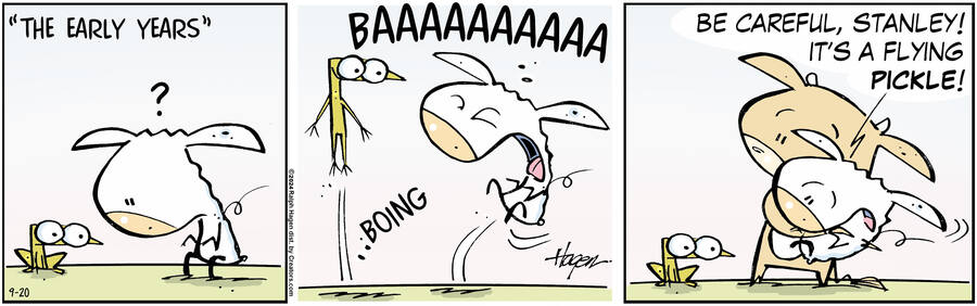 The Barn for Sep 20, 2024