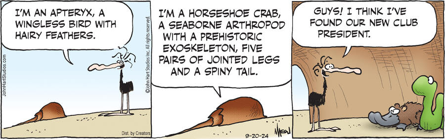 B.C. for Sep 20, 2024