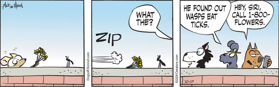 Dogs of C-Kennel for Oct 17, 2024