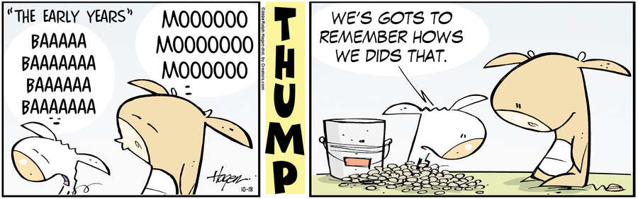 The Barn for Oct 18, 2024