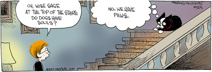 Zack Hill for Oct 23, 2024