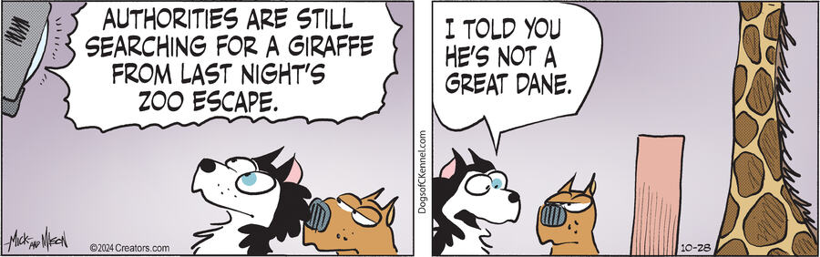 Dogs of C-Kennel for Oct 28, 2024