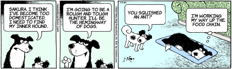 The Other Coast for Nov 01, 2022