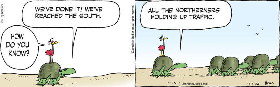 B.C. for Nov 01, 2024