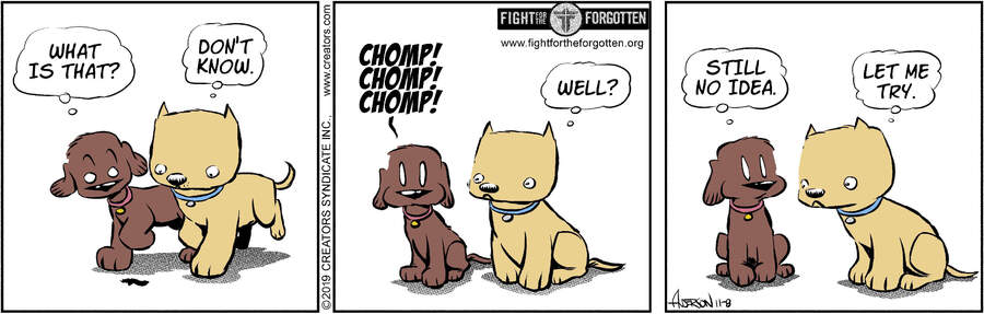 Dog Eat Doug for Nov 08, 2024