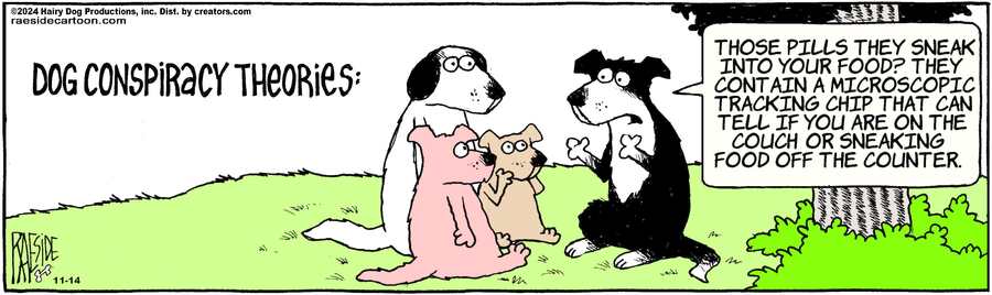 The Other Coast for Nov 14, 2024