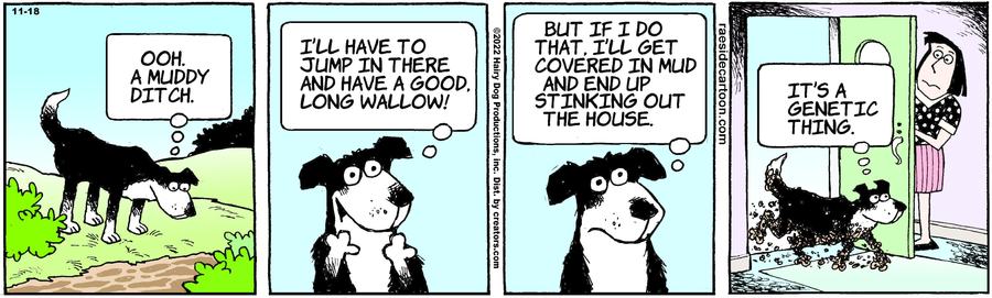 The Other Coast for Nov 18, 2022