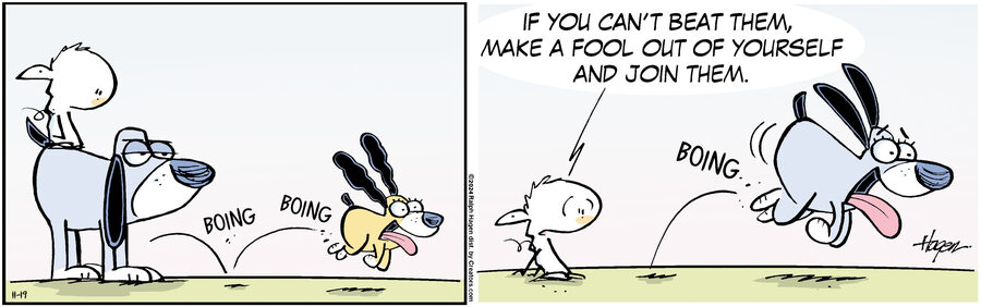 The Barn for Nov 19, 2024