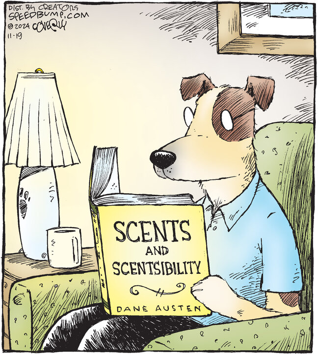 Speed Bump for Nov 19, 2024