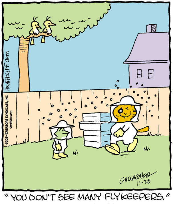 Heathcliff for Nov 20, 2024