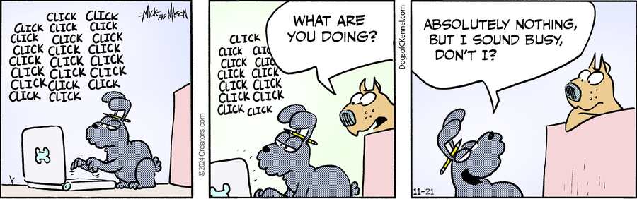 Dogs of C-Kennel for Nov 21, 2024