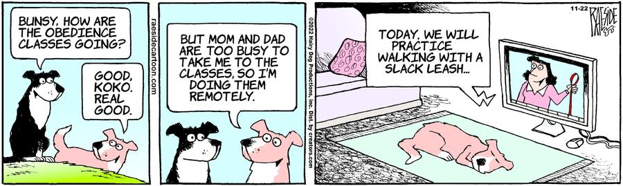 The Other Coast for Nov 22, 2022