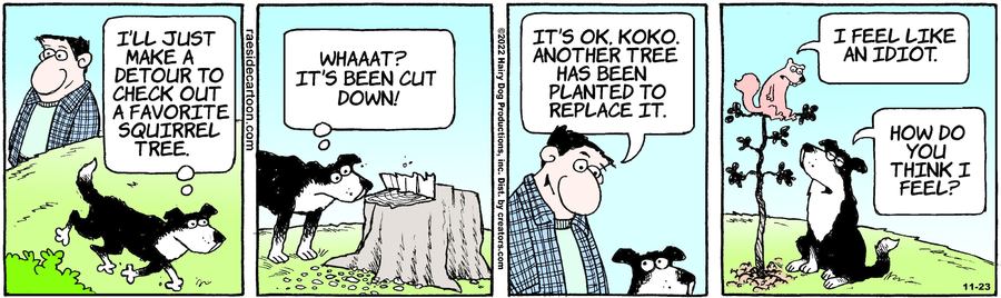 The Other Coast for Nov 23, 2022