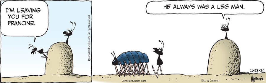 B.C. for Nov 23, 2024