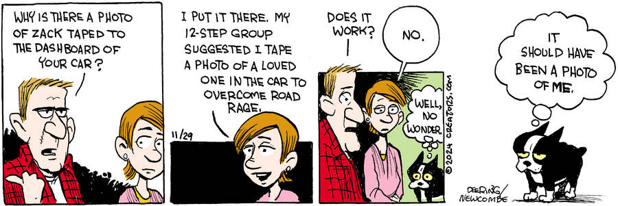 Zack Hill for Nov 29, 2024