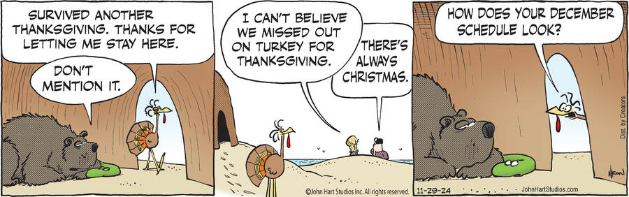 B.C. for Nov 29, 2024