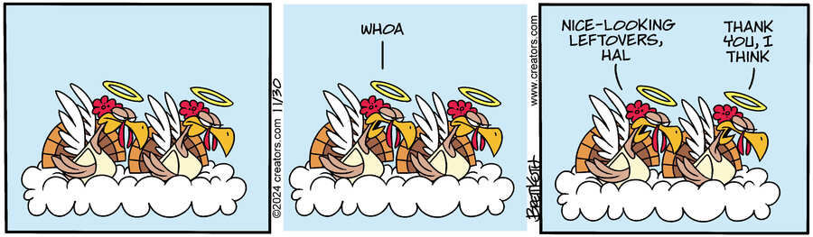 Diamond Lil for Nov 30, 2024