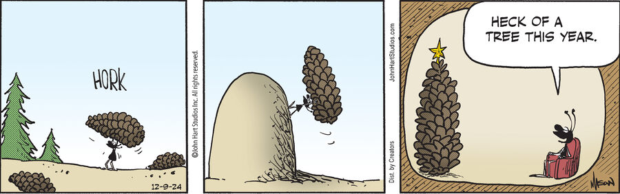 B.C. for Dec 09, 2024