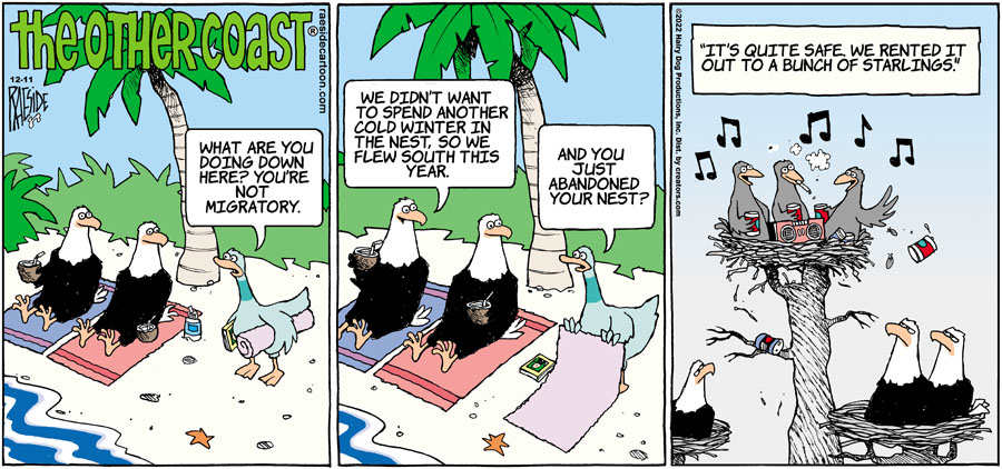 The Other Coast for Dec 11, 2022