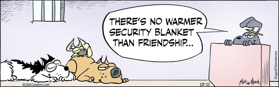 Dogs of C-Kennel for Dec 11, 2024