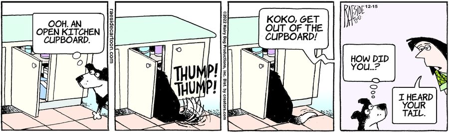 The Other Coast for Dec 15, 2022