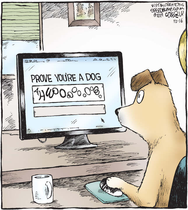 Speed Bump for Dec 16, 2024